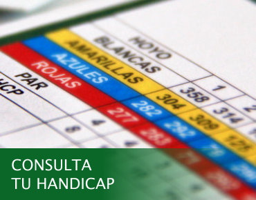 Consulta Handicap